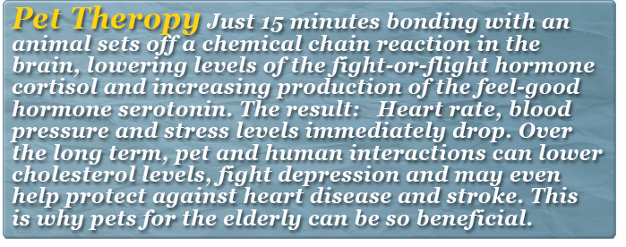 residential care home